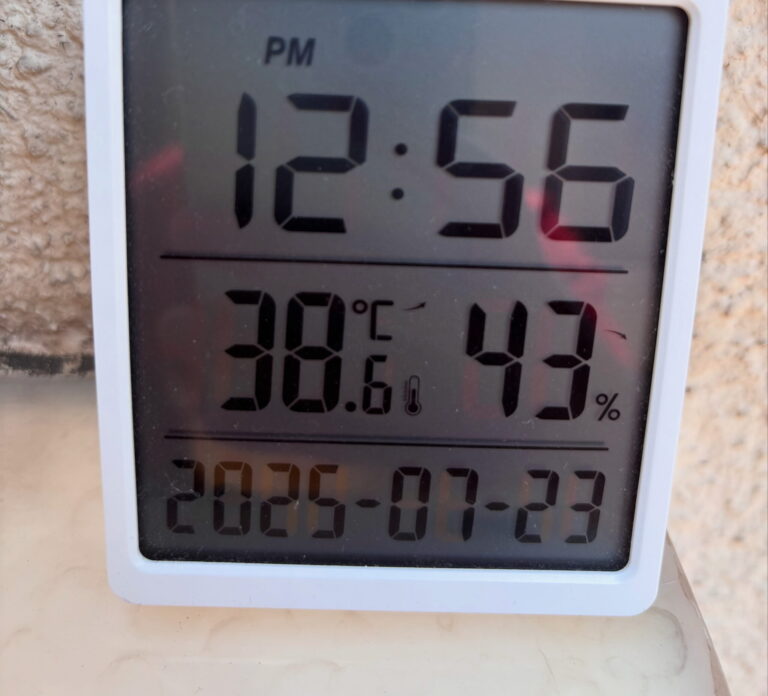 Photograph of a thermometer showing 38.6°C.