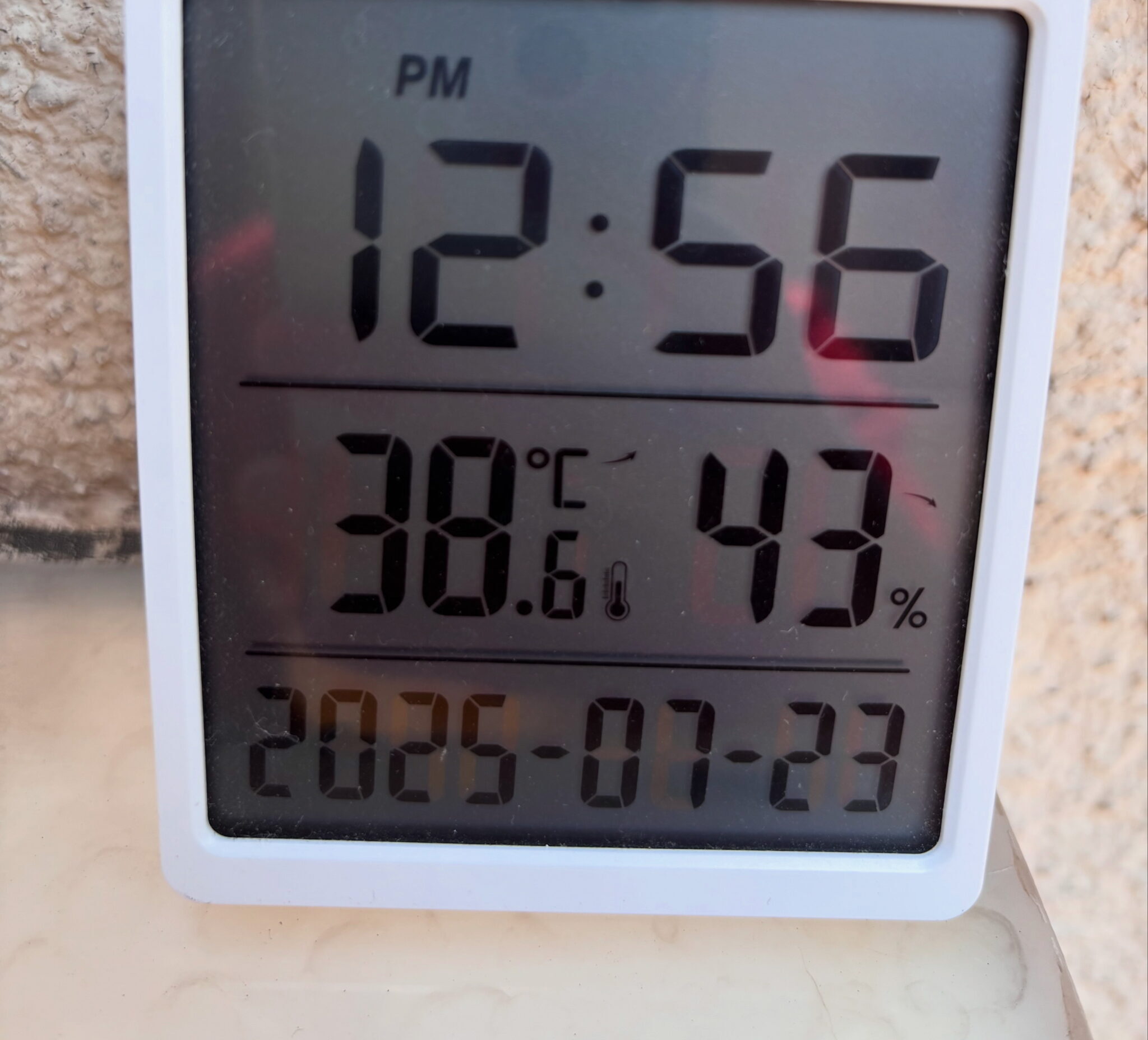 Photograph of a thermometer showing 38.6°C.
