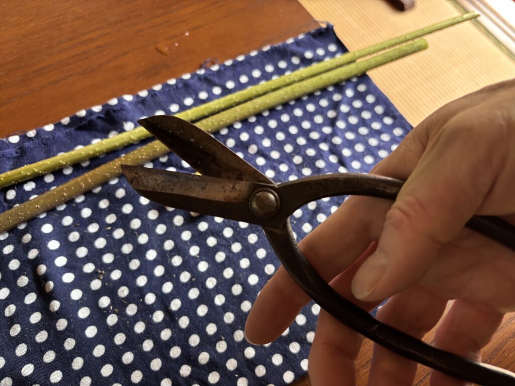 Scissors